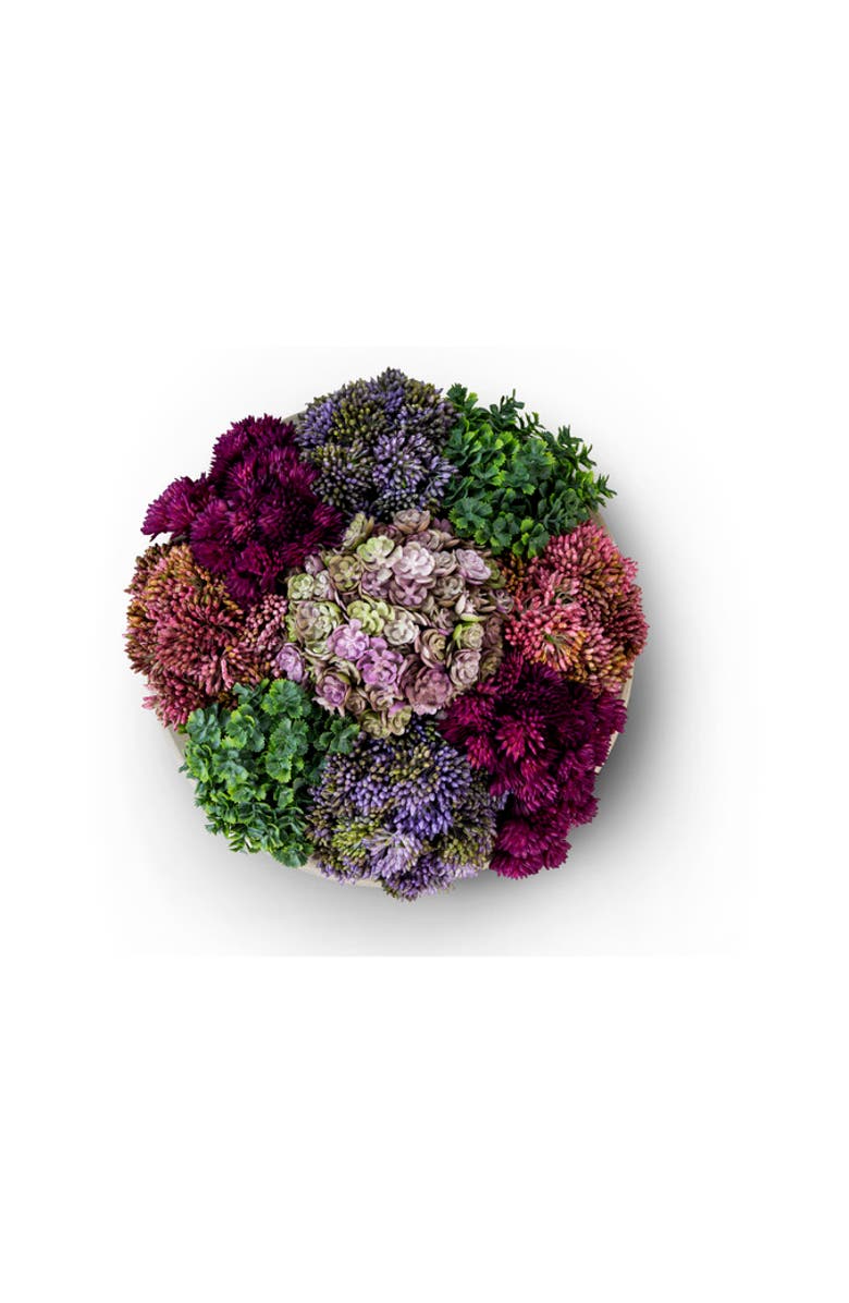 CocoBella Georgina Sedum Arrangement, Alternate, color, Charcoal