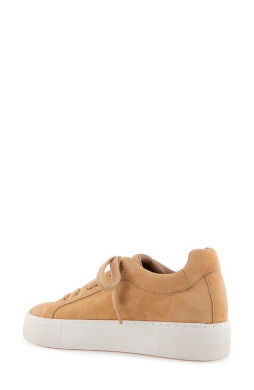 AEROSOLES AEROSOLES BO FASHION SNEAKER