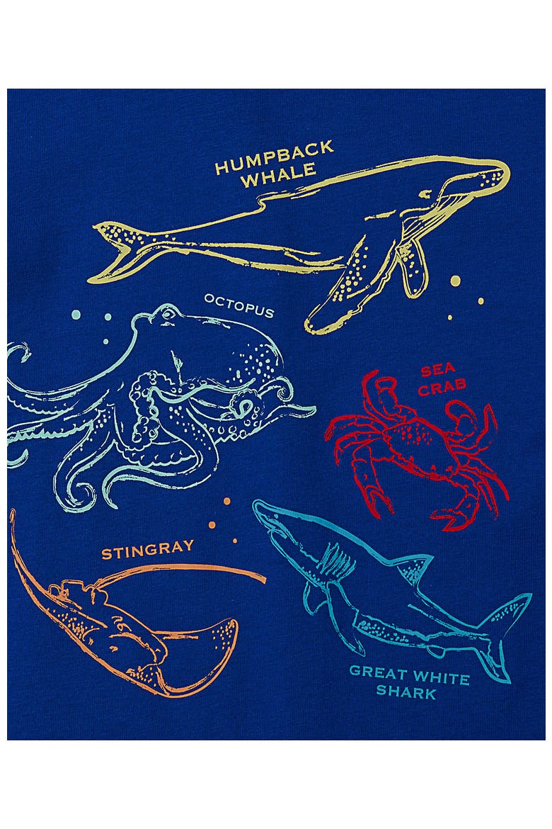 Boys Graphic T Shirt, Alternate, color, Sea Life/Nautical Blue