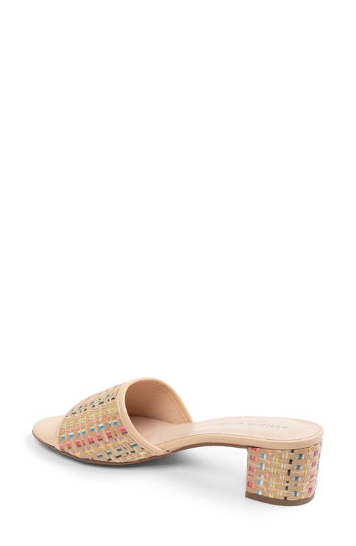 Patricia Green Harper Raffia Slide Sandal In Rainbow Raffia