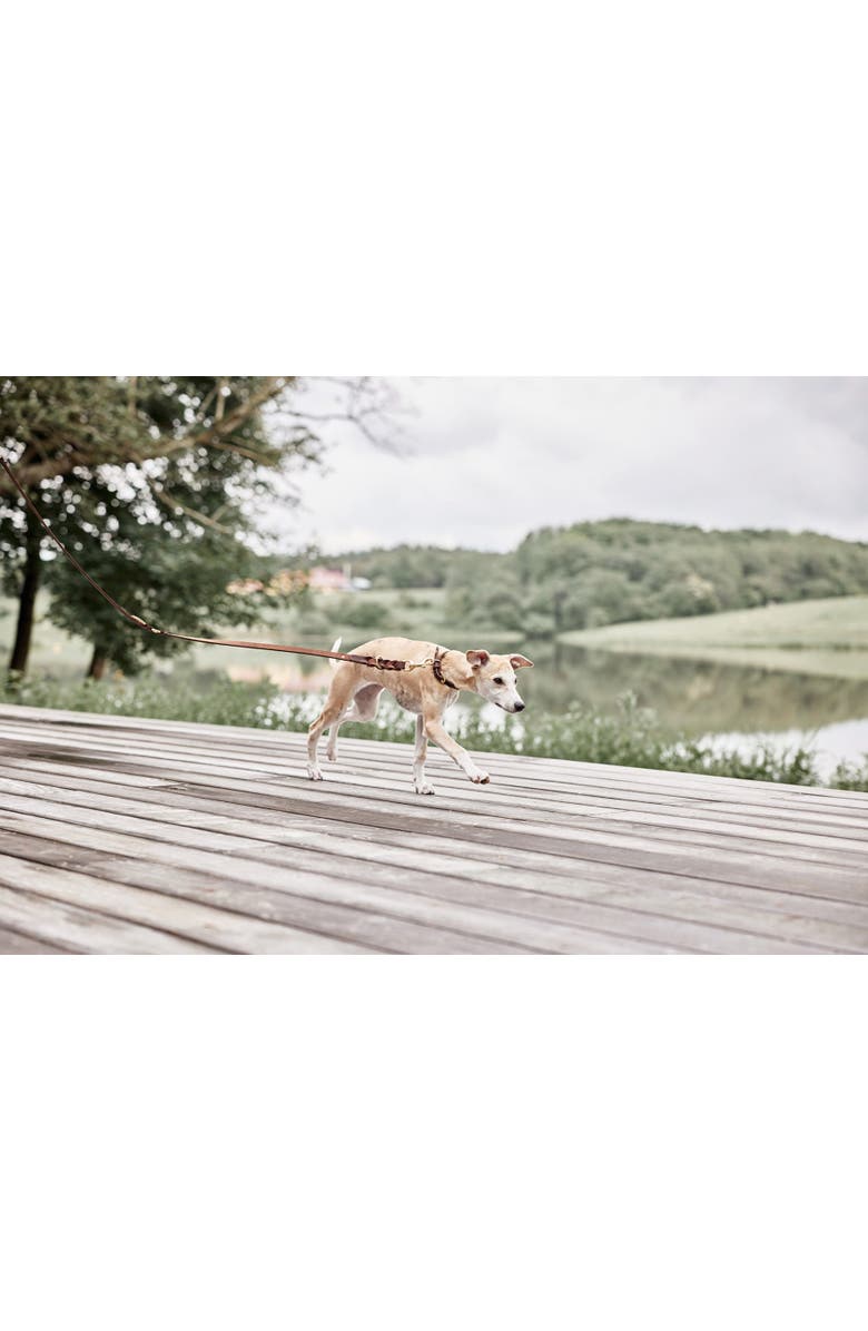 OYOY Robin Dog Leash, Alternate, color, Choko