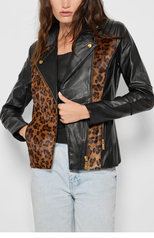 As By Df Lou Perfecto Leather Jacket