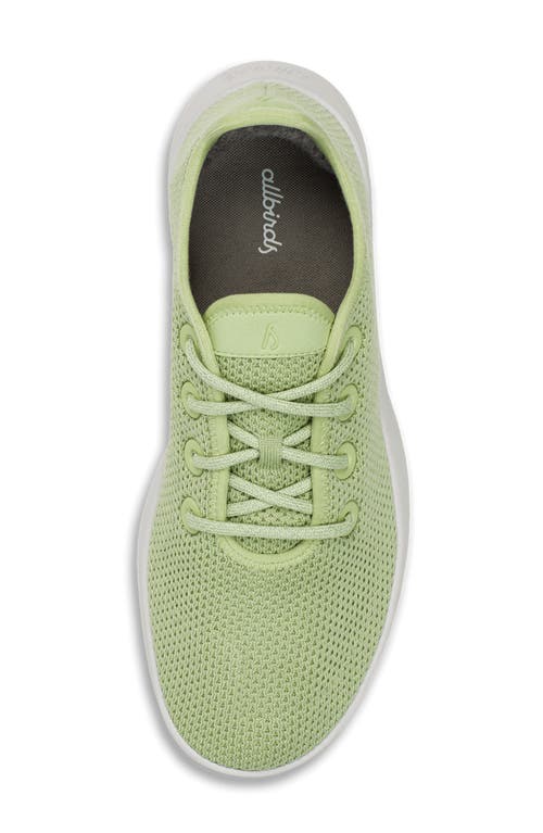 ALLBIRDS ALLBIRDS TREE RUNNER SNEAKER