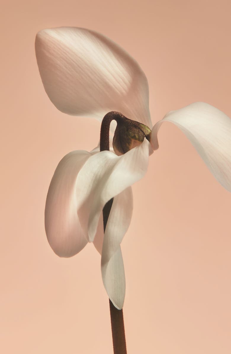 PHLUR Missing Person Body Lotion, Alternate, color,