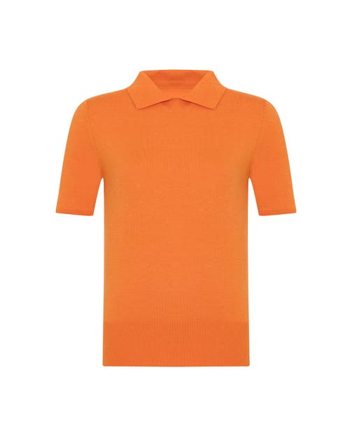 Theo The Label Nomia Short Sleeve Polo Tee In Brown