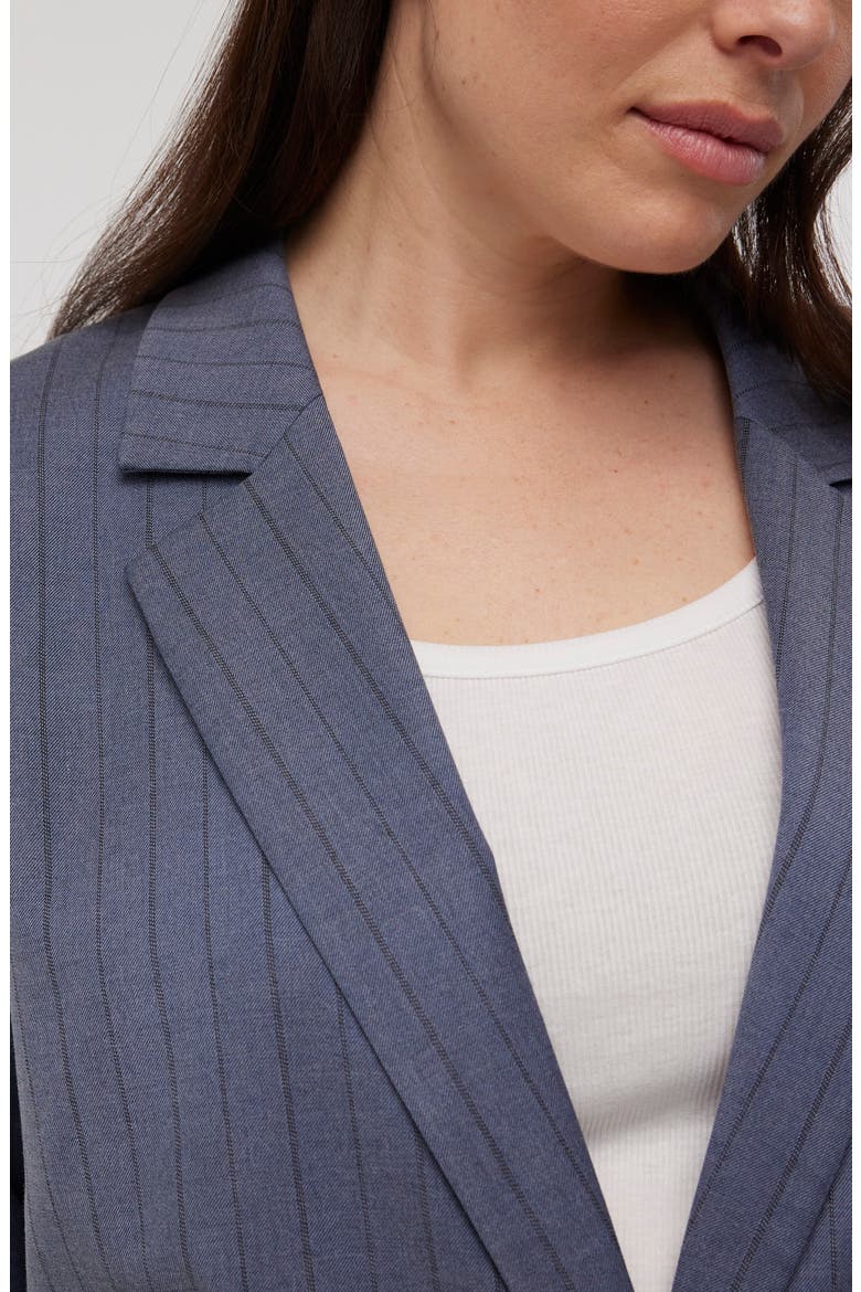 Pinstripe Single Breasted Blazer, Alternate, color, DARK MEDITERRANEAN
