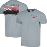 IMAGE ONE Men's Gray Wisconsin Badgers Campus Scene Comfort Colors T-Shirt