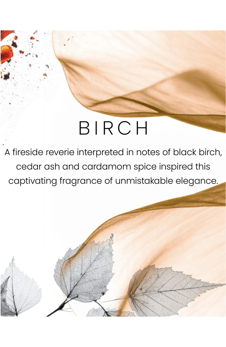 YANKEE CANDLE Birch Premium Scented Candle, Alternate, color, White