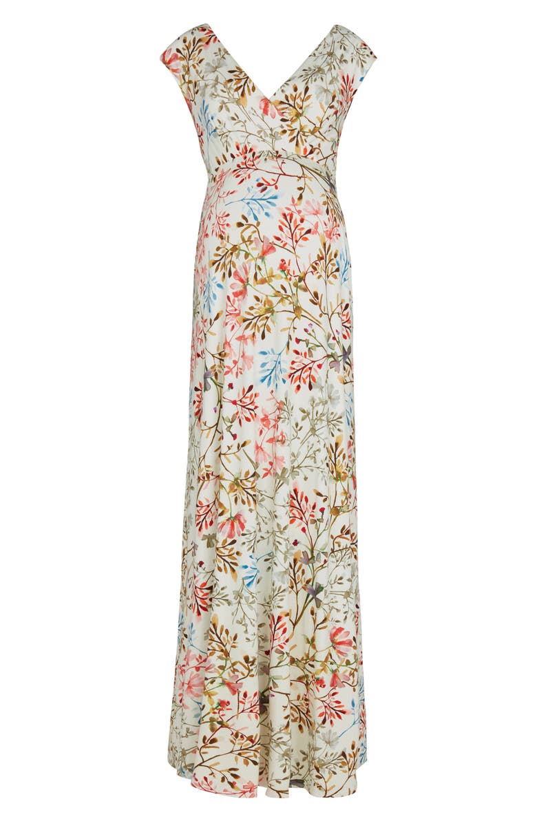 Tiffany Rose Alana Maternity/Nursing Maxi Dress, Alternate, color, 
