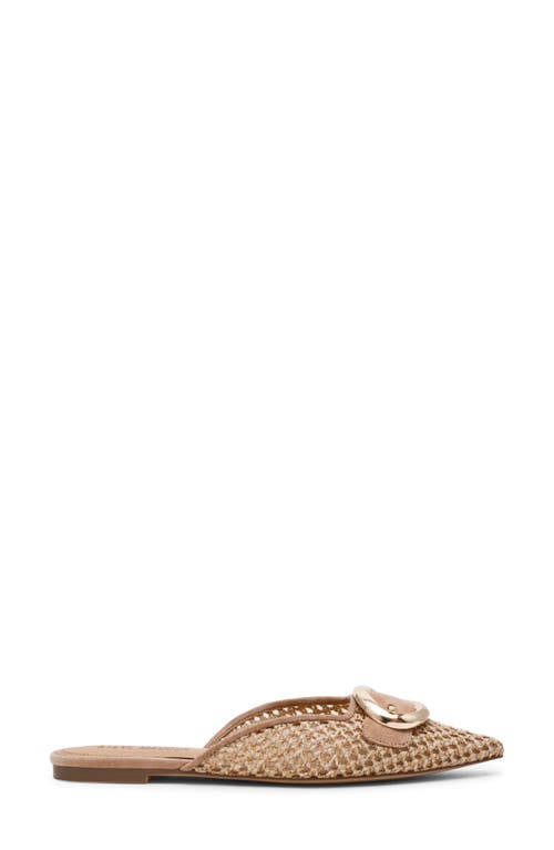 Steve Madden Ira Pointed Toe Mule