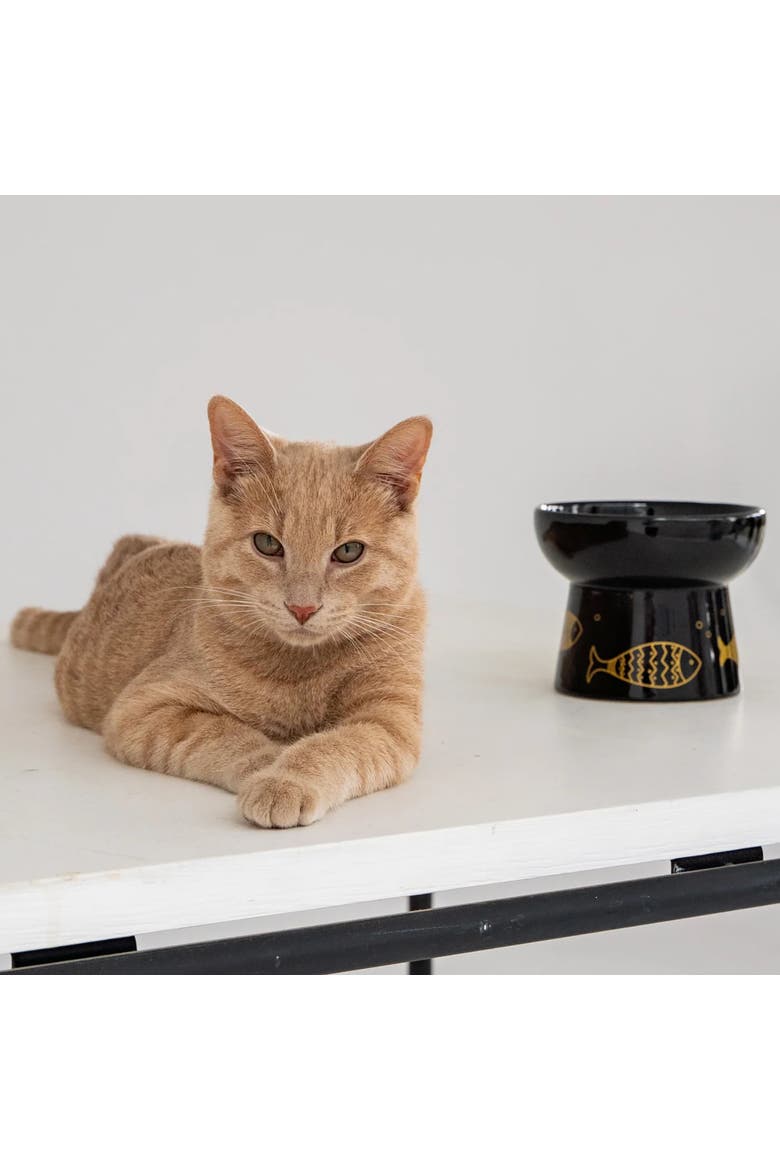 Elevated Ceramic Cat Bowl, Black & Gold Fish, 7oz, Alternate, color, Black