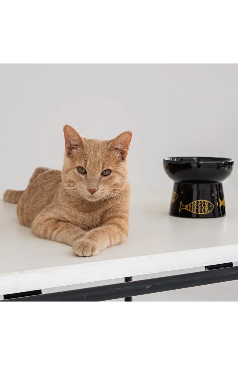 Dexypaws Elevated Ceramic Cat Bowl, Black & Gold Fish, 7oz, Alternate, color, Black
