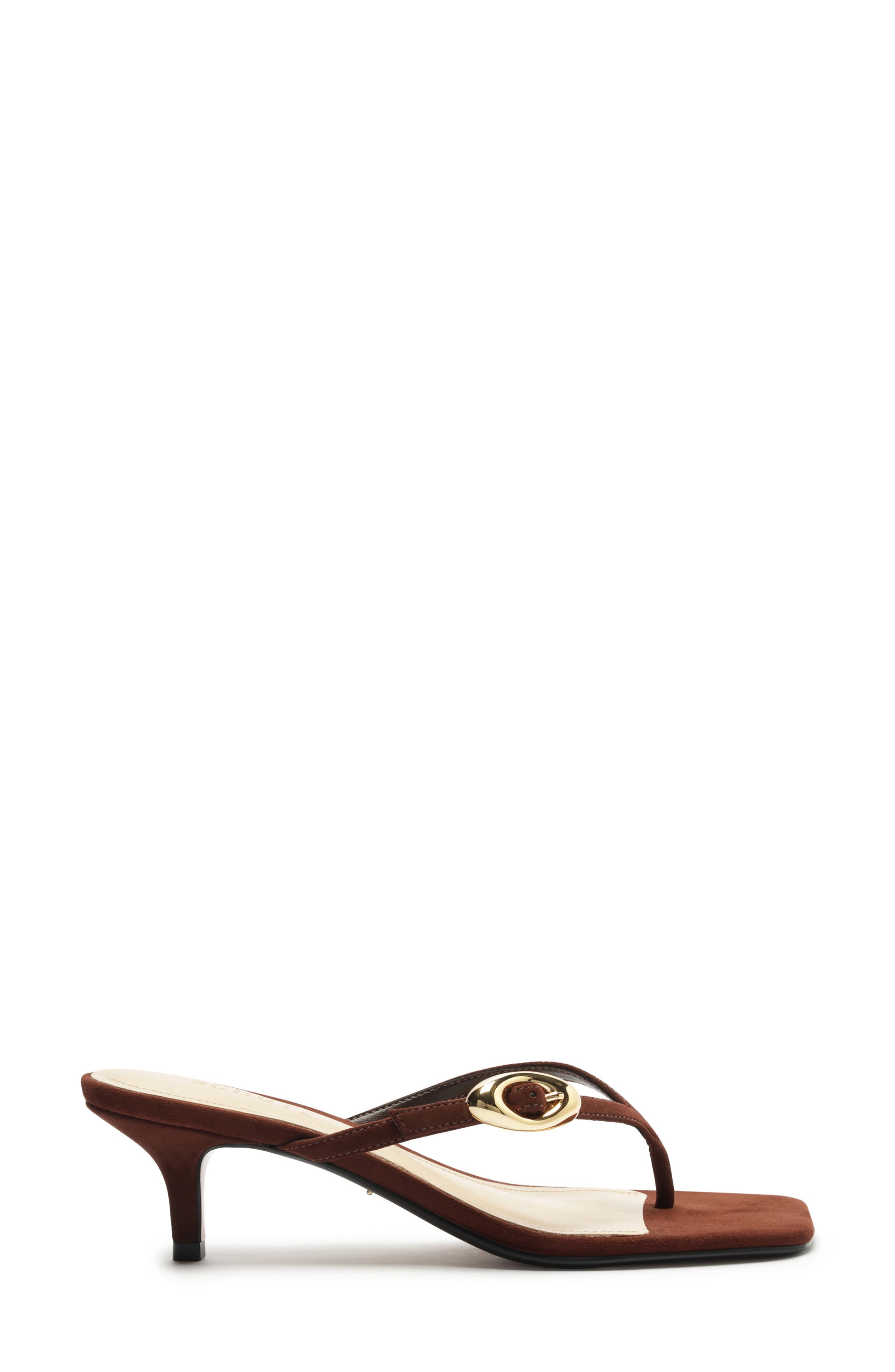 Schutz Miriam Slide Sandal, Alternate, color, Chestnut Brown