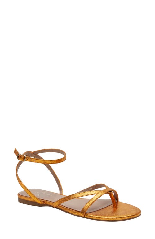 Shop Linea Paolo Luz Ankle Strap Sandal In Orange
