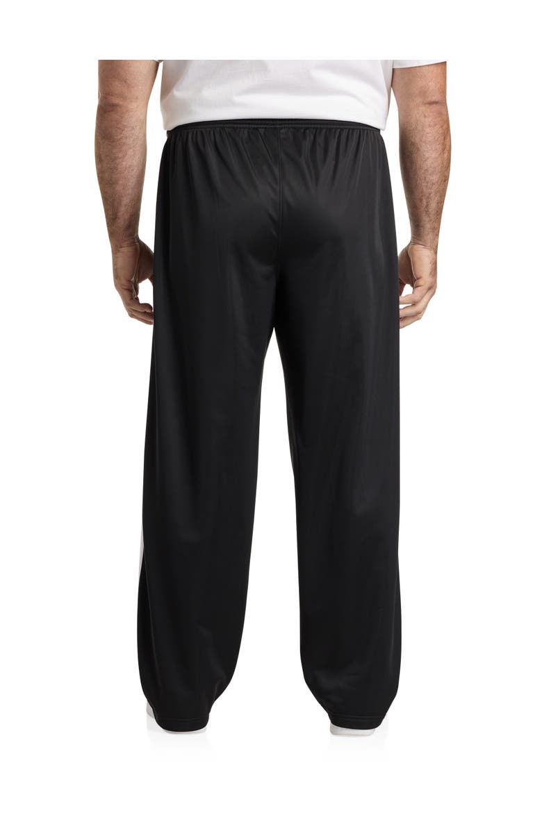 Champion Big & Tall Striped Track Pants, Alternate, color, 
