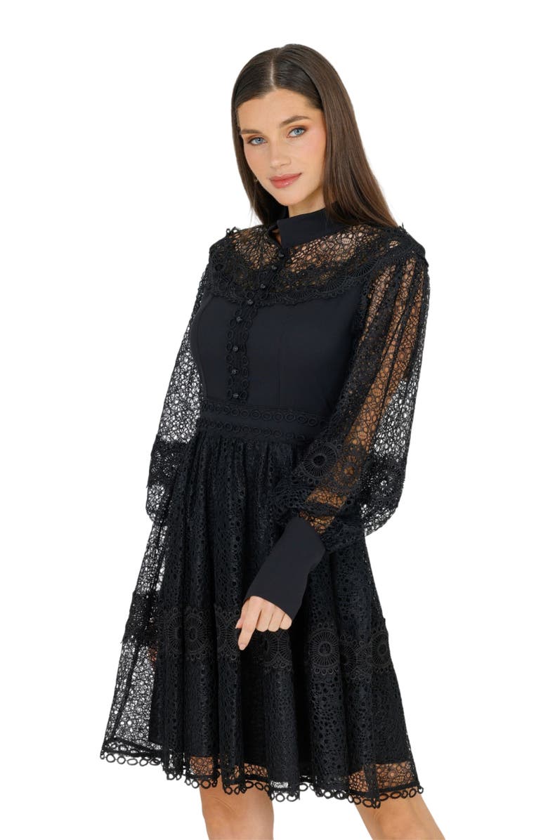 AKALIA Melvina Lace Mini Dress Long Sleeve, Alternate, color, 