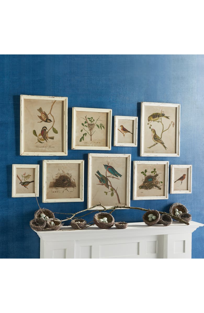 Napa Home & Garden Framed Aviary Bird & Nest Habitat Prints Set of 9, Alternate, color, Off-White