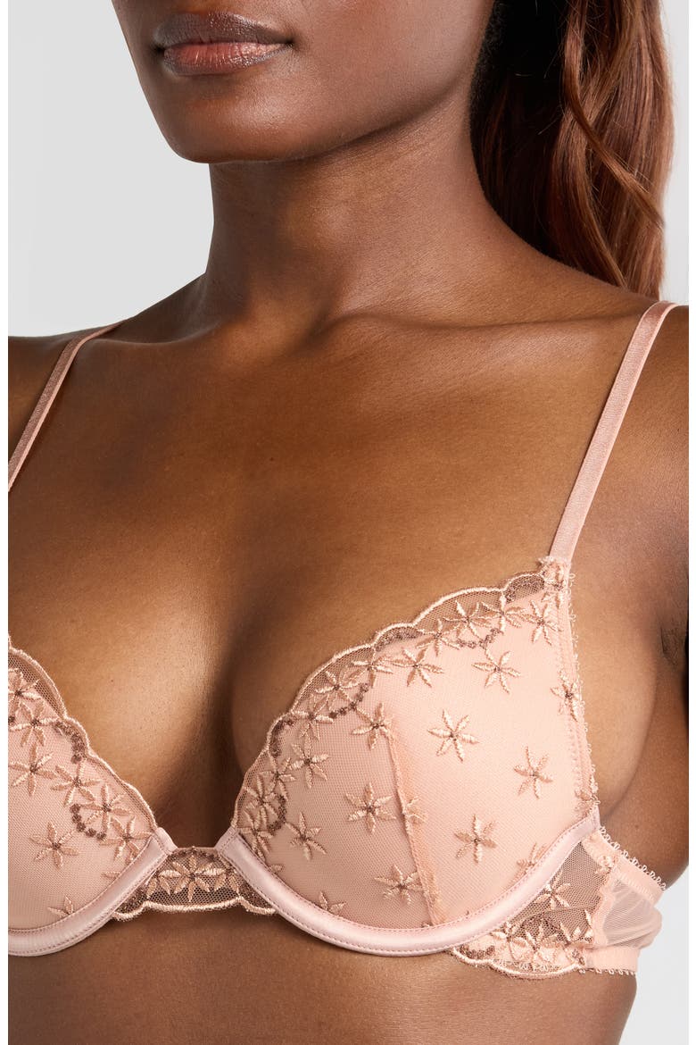 The Plunge Push-Up Bra, Alternate, color, BLUSH
