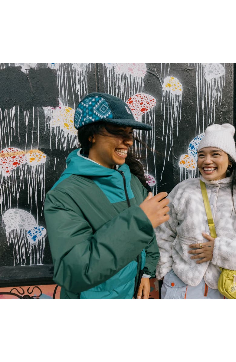 Turtle Fur Fleece Art 5-Panel Hat, Alternate, color, Whisper