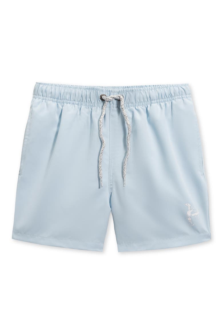 Kids' Volley Swim Trunks, Main, color, LIGHT BLUE