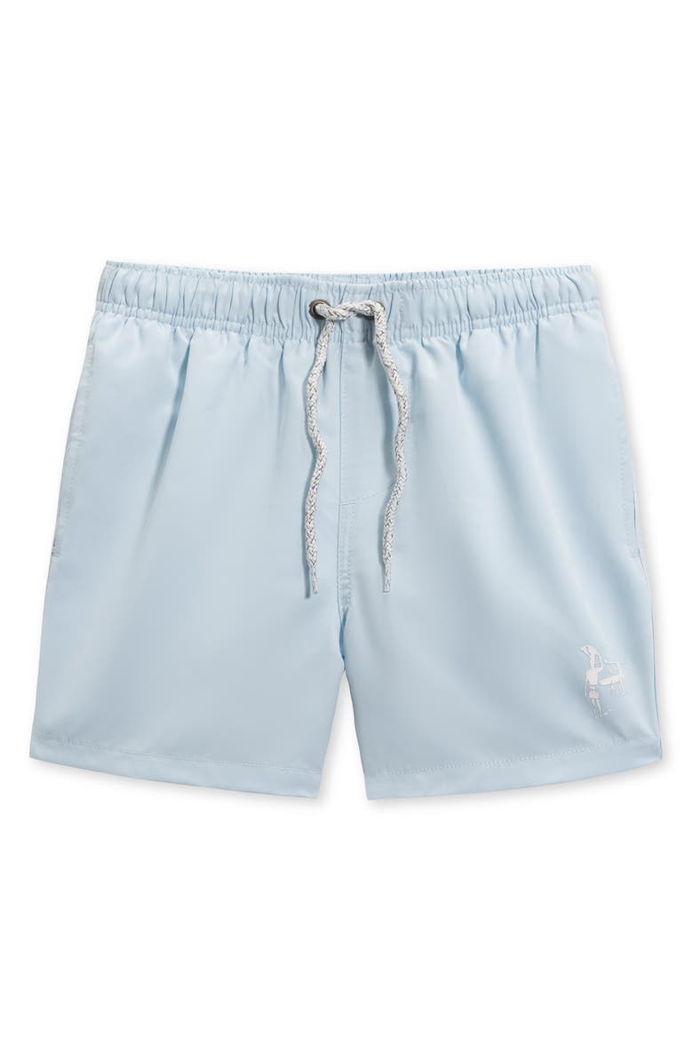 THE ENDLESS SUMMER Kids' Volley Swim Trunks, Main, color, Light Blue