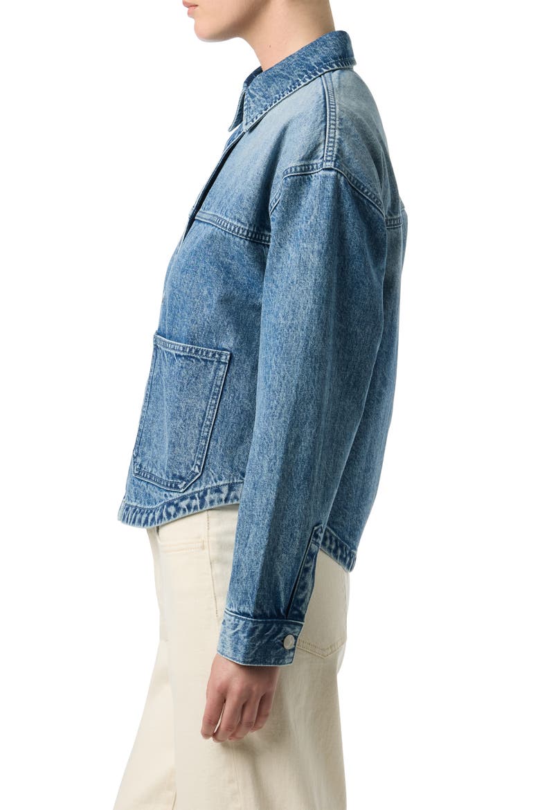 Oversized Denim Jacket, Alternate, color, LIV