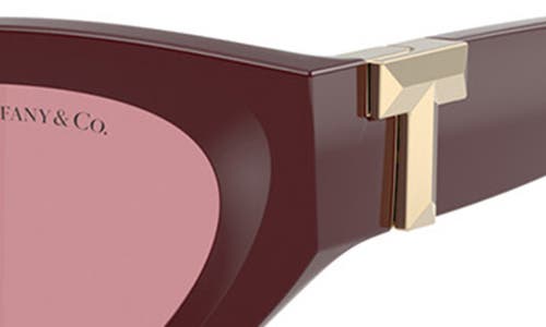 Tiffany & Co . 54mm Oval Sunglasses In Burgundy