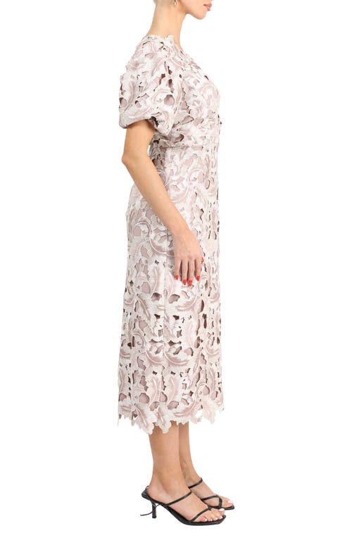 Adelyn Rae Chantelle Scallop Lace Midi Dress In Champagne/mauve