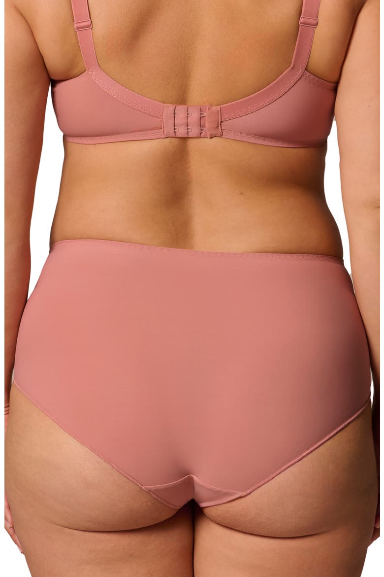 Delice Retro Briefs, Alternate, color, SMOKEY PINK
