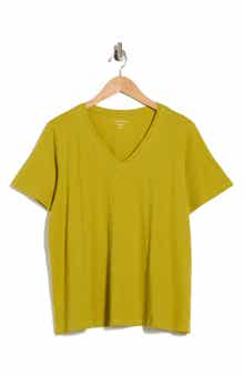 Eileen Fisher Easy V-Neck Organic Cotton T-Shirt