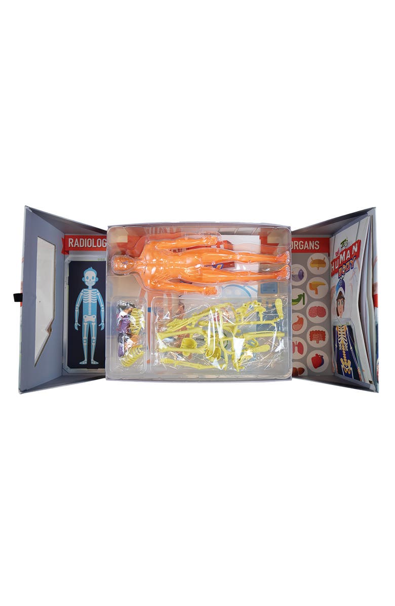Science Lab Human Body Kit, Alternate, color, 