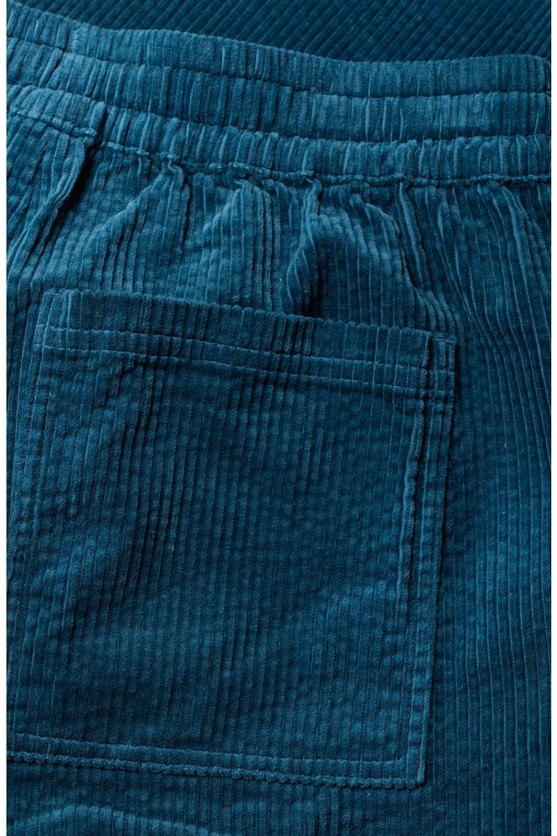 Sholl Corduroy Pants, Alternate, color, GALLEY