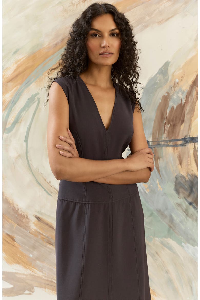 Seamed Sleeveless Midi Dress, Alternate, color, OBSIDIAN