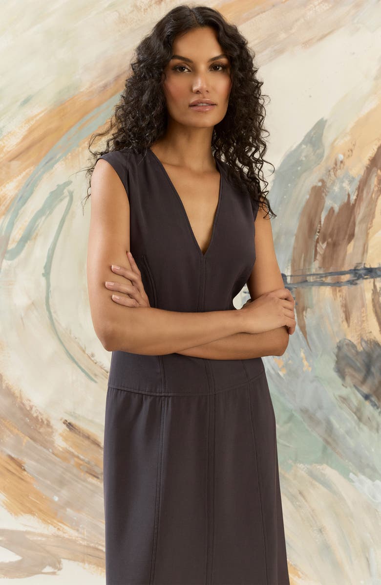 Maggy London Seamed Sleeveless Midi Dress, Alternate, color, Obsidian