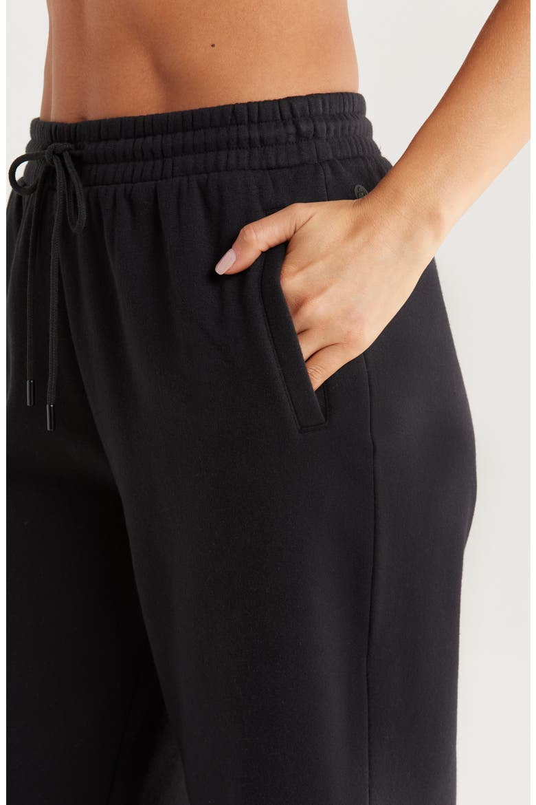 Ultracozy Pleated Joggers, Alternate, color, BLACK