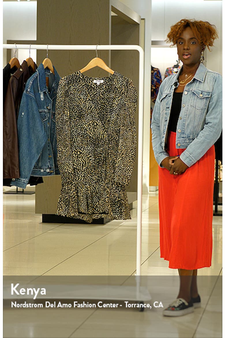 Nyla Animal Print Long Sleeve Chiffon Minidress video