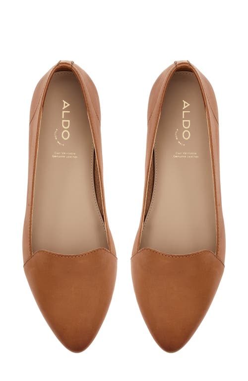 Shop Aldo Winifred Loafer