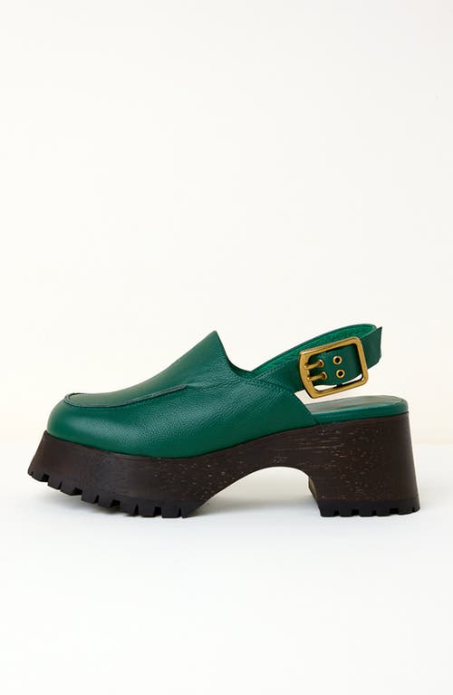 Charlotte Stone Carlos Slingback Platform Clog In Green
