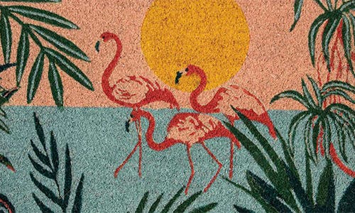 Entryways Flamingo Lagoon Doormat In Multi