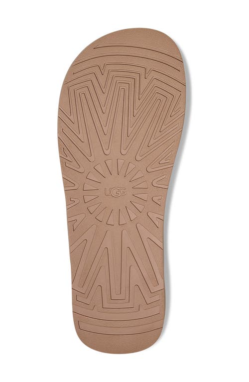 Ugg(r) Seaside Ii Flip Flop In Mustard Seed
