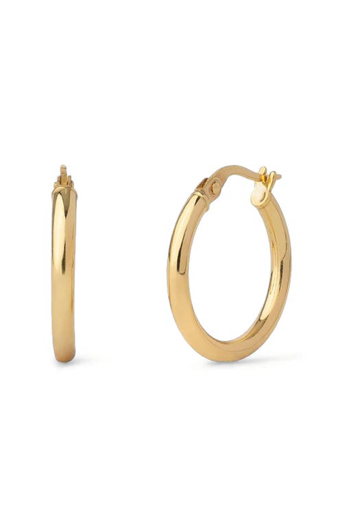 Made By Mary 14k Maude Hoop Earrings In Gold