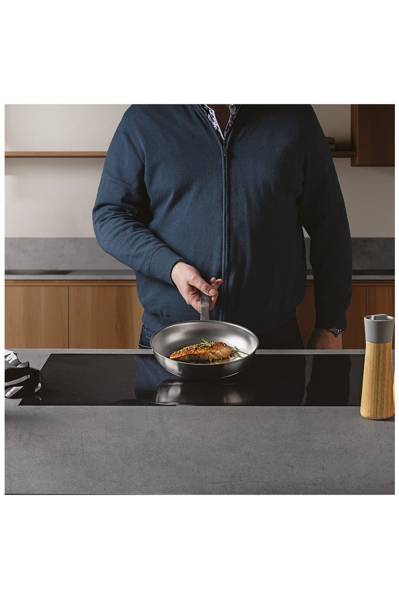Leo Graphite 10-Inch Fry Pan, Alternate, color, GREY