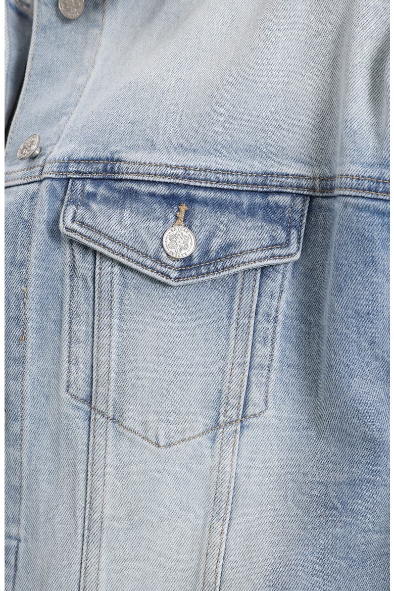 Embroidered Denim Jacket, Alternate, color, GAIA