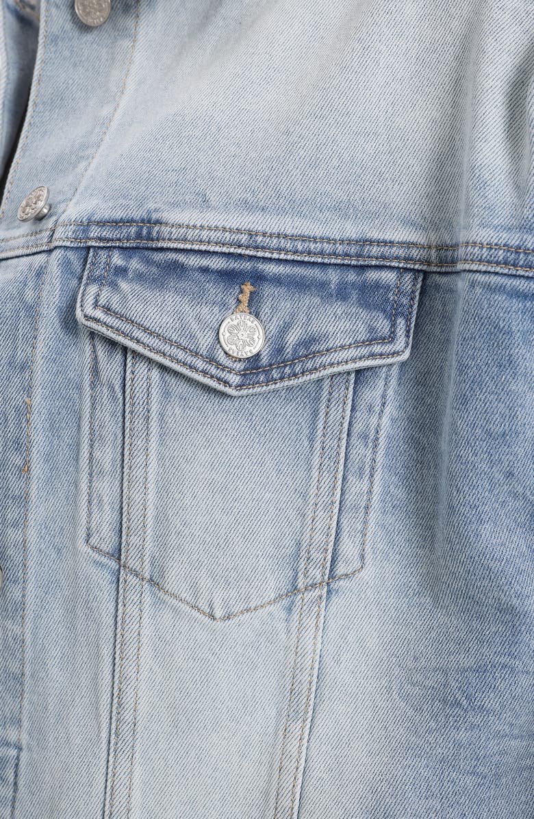 Bayeas Embroidered Denim Jacket, Alternate, color, Gaia