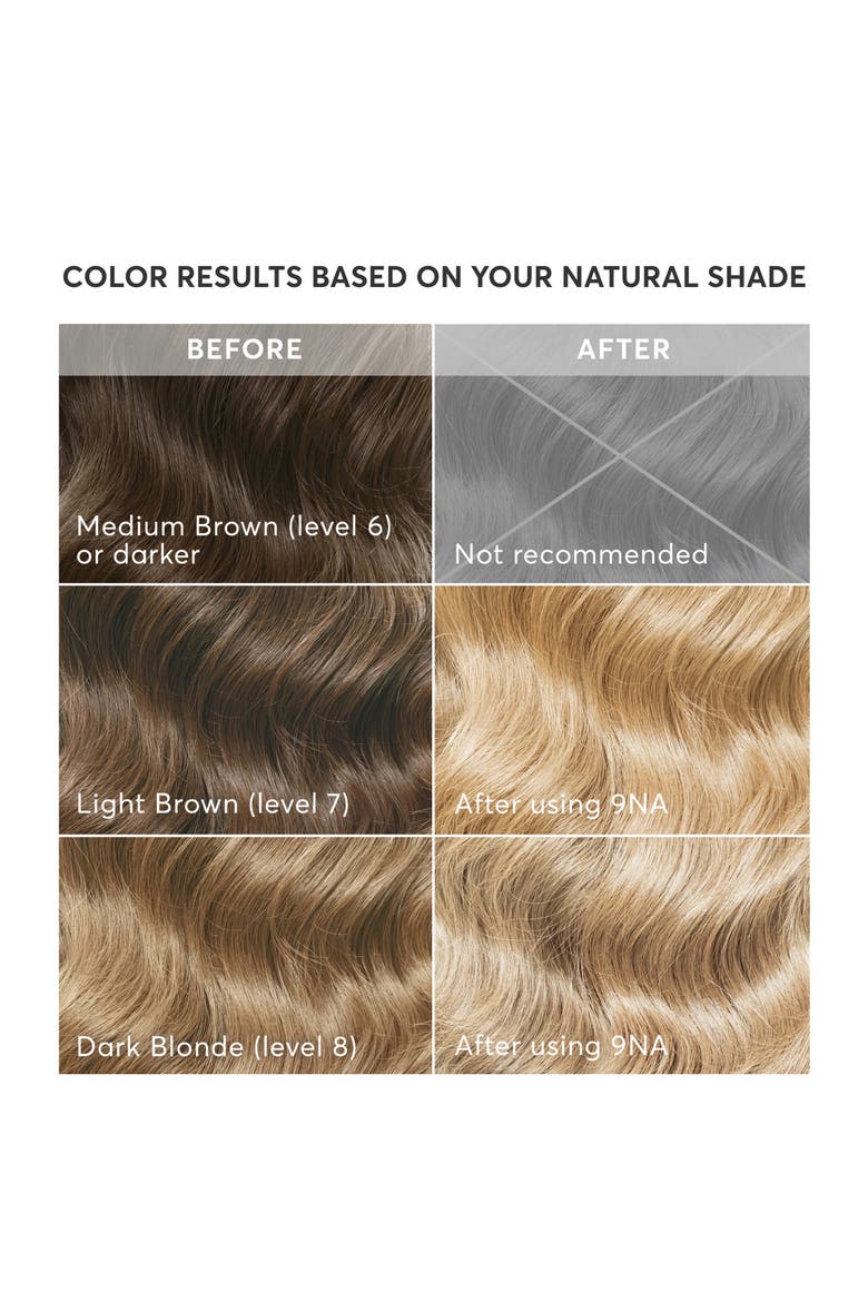 Radiant Hair Color Kit, Alternate, color, Pisa 9NA