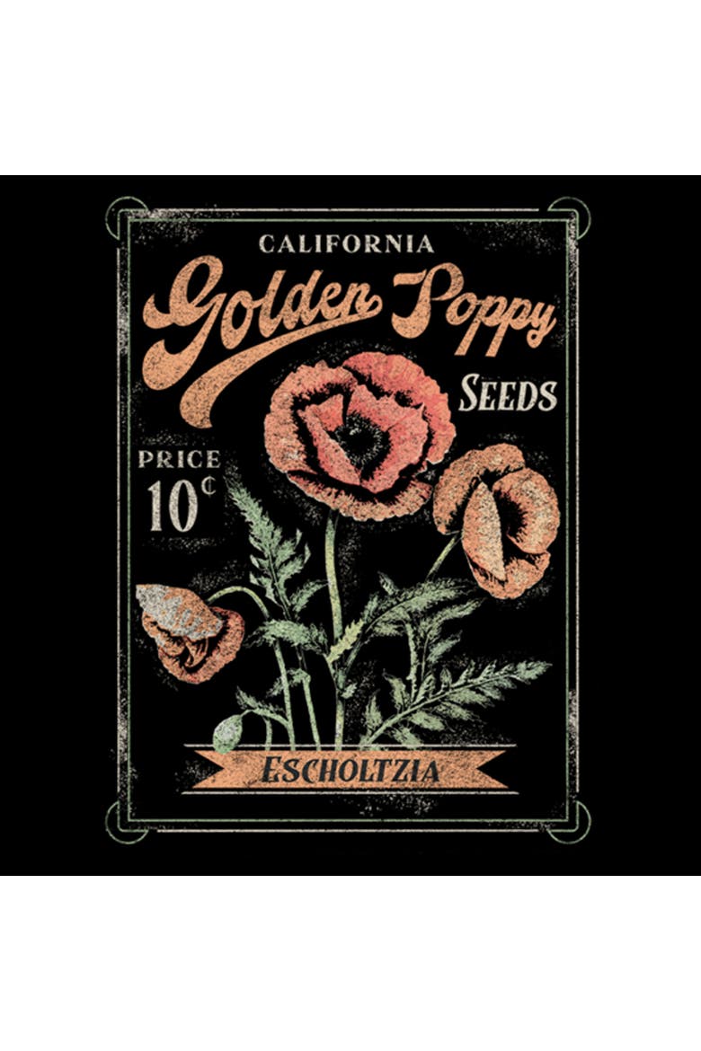 Women's Lost Gods Poppy Seeds Packet  Graphic T-Shirt, Alternate, color, Black