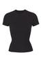 Cotton Jersey T-Shirt