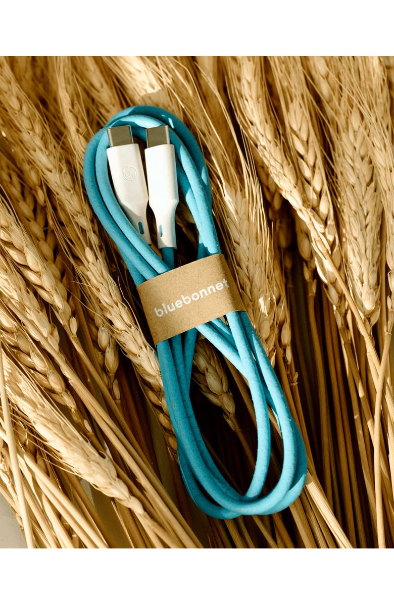 Bluebonnet The Companion USB-C to USB-C Cable 4FT, Alternate, color, Blue