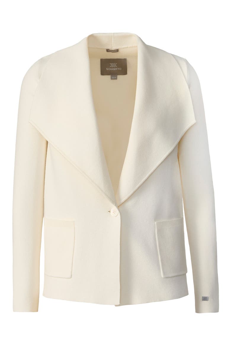 Ioni Shawl Collar Jacket, Alternate, color, POWDER