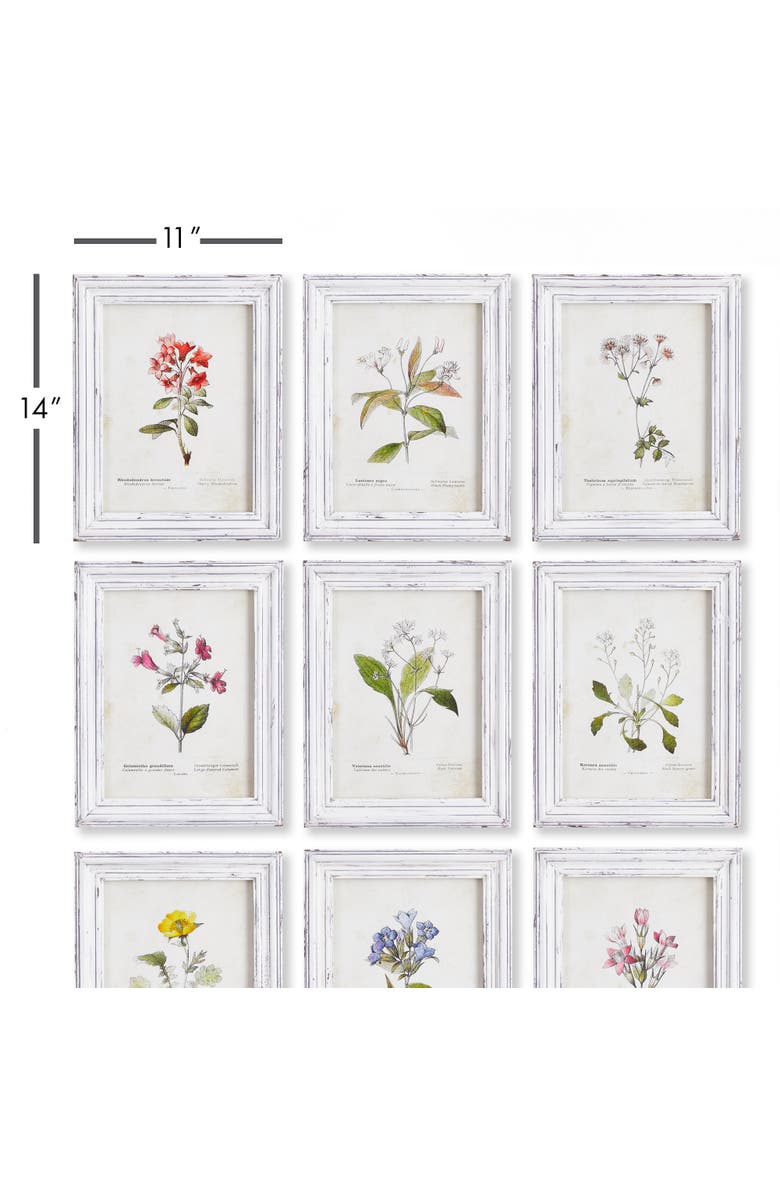 Napa Home & Garden Garden Meadow Study Set of 9, Alternate, color, 